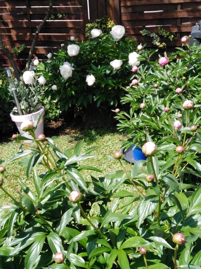 Ferienwohnung Mit Kleinem Garten Sonnenbühl Exterior foto