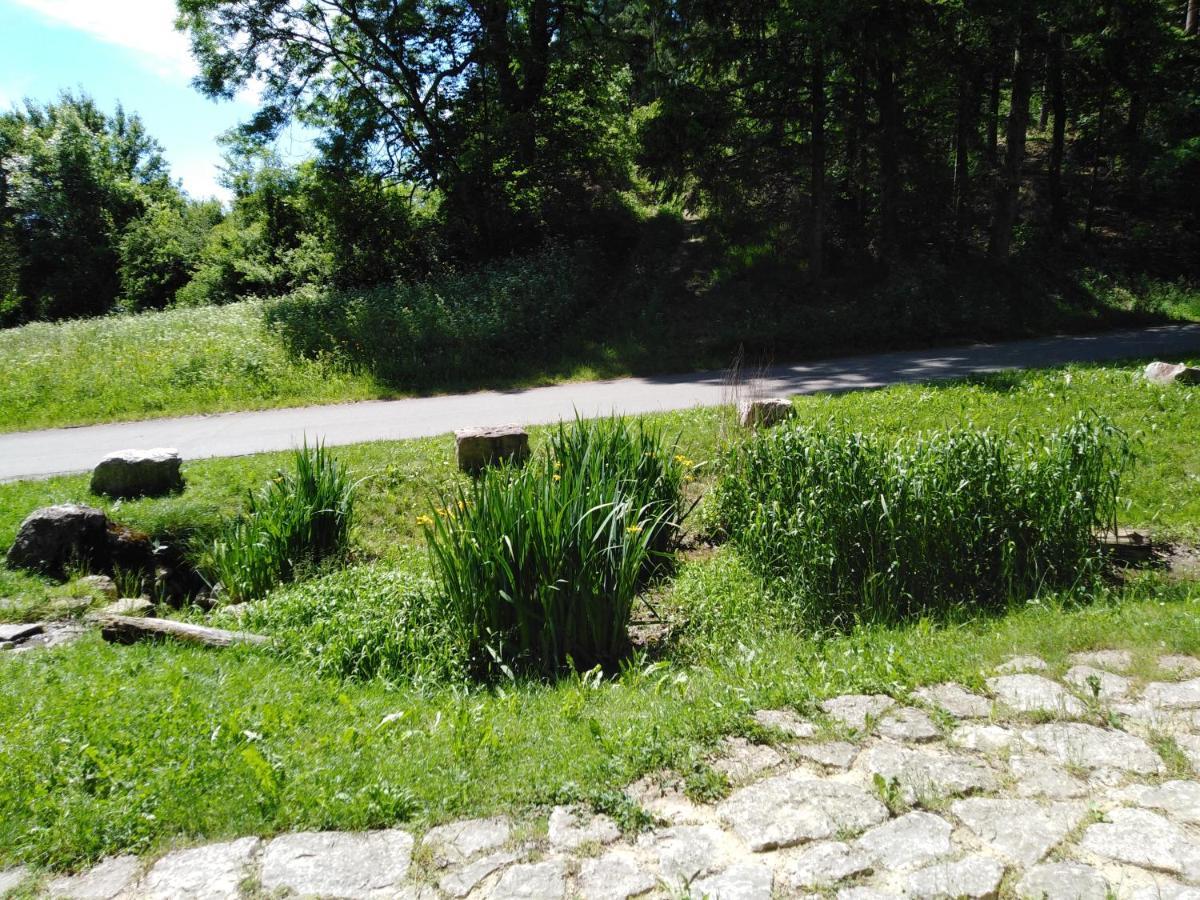 Ferienwohnung Mit Kleinem Garten Sonnenbühl Exterior foto